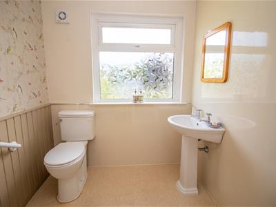 Picture 13